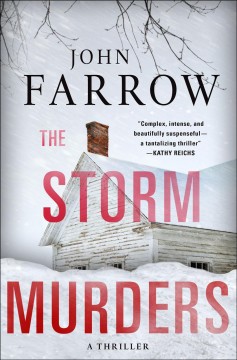 The storm murders  Cover Image