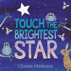 Touch the brightest star  Cover Image