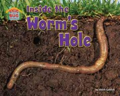 Inside the worm's hole  Cover Image