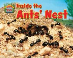 Inside the ants' nest  Cover Image