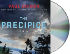 The precipice Cover Image