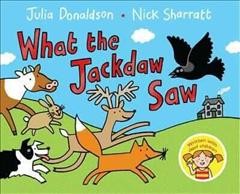 What the jackdaw saw  Cover Image