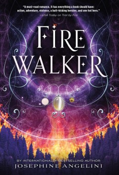 Firewalker  Cover Image