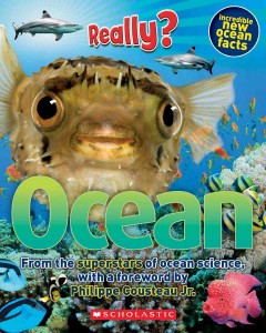 Really? ocean  Cover Image