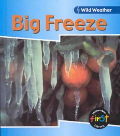 Big freeze  Cover Image