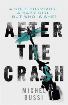 After the crash  Cover Image
