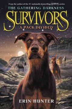 A pack divided  Cover Image