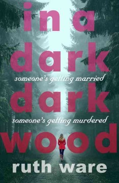 In a dark dark wood  Cover Image