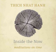 Inside the now : meditations on time  Cover Image