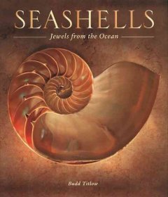 Seashells : jewels from the ocean  Cover Image