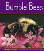 Bumble bees  Cover Image