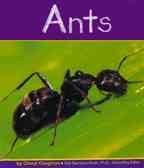 Ants  Cover Image