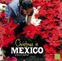 Christmas in Mexico  Cover Image