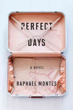 Perfect days  Cover Image