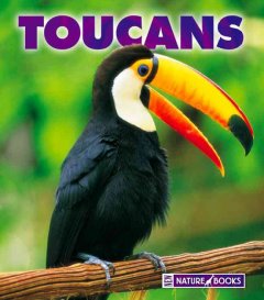 Toucans  Cover Image