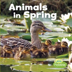 Animals in spring  Cover Image