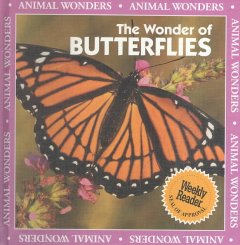 The wonder of butterflies  Cover Image