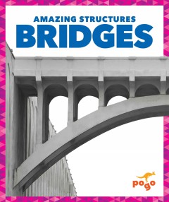 Bridges  Cover Image