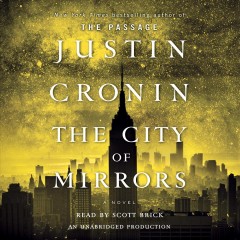 The city of mirrors a novel  Cover Image
