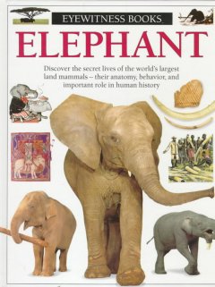 Elephant  Cover Image