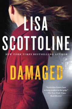 Damaged : a Rosato & DiNunzio novel  Cover Image