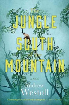 The jungle south of the mountain : a novel  Cover Image