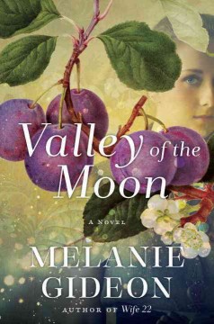 Valley of the moon : a novel  Cover Image