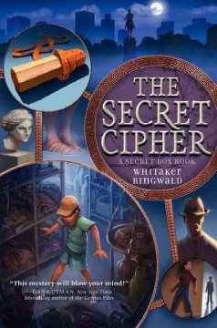 The secret cipher  Cover Image