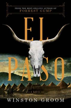 El paso : a novel  Cover Image
