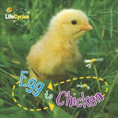 Egg to chicken  Cover Image