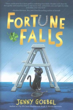Fortune Falls  Cover Image