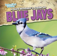 A bird watcher's guide to blue jays  Cover Image
