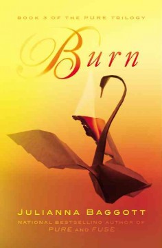 Burn  Cover Image