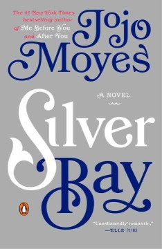 Silver Bay : a novel  Cover Image