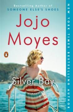 Silver Bay : a novel  Cover Image