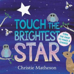 Touch the brightest star  Cover Image