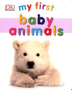 My first baby animals  Cover Image