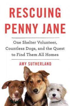 Rescuing Penny Jane : one shelter volunteer, countless dogs, and the quest to find them all homes  Cover Image