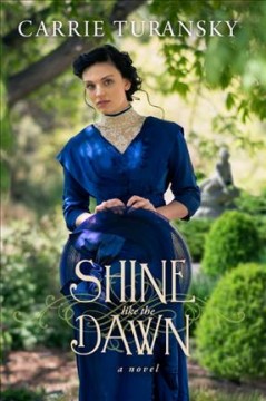 Shine like the dawn : a novel  Cover Image