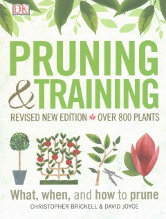Pruning & training  Cover Image