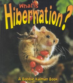 What is hibernation?  Cover Image