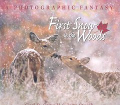 First snow in the woods : a photographic fantasy  Cover Image