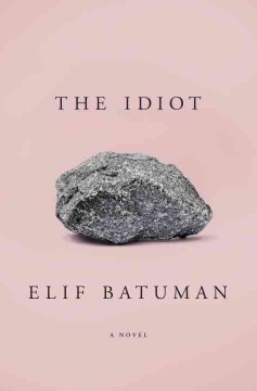 The idiot  Cover Image