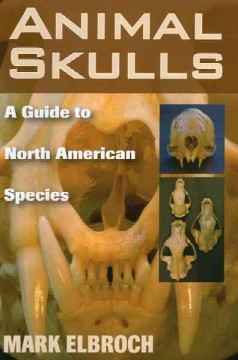 Animal skulls : a guide to North American species  Cover Image