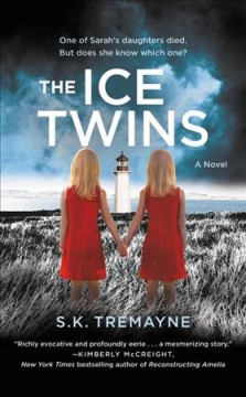 The ice twins  Cover Image