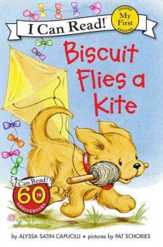 Biscuit flies a kite  Cover Image