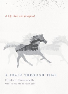A train through time : a life, real and imagined  Cover Image