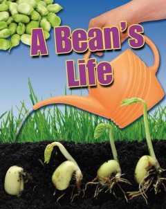 A bean's life  Cover Image