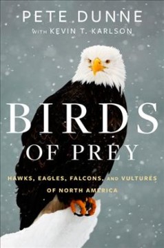 Birds of prey : hawks, eagles, falcons, and vultures of North America  Cover Image