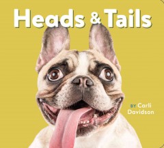 Heads & tails  Cover Image